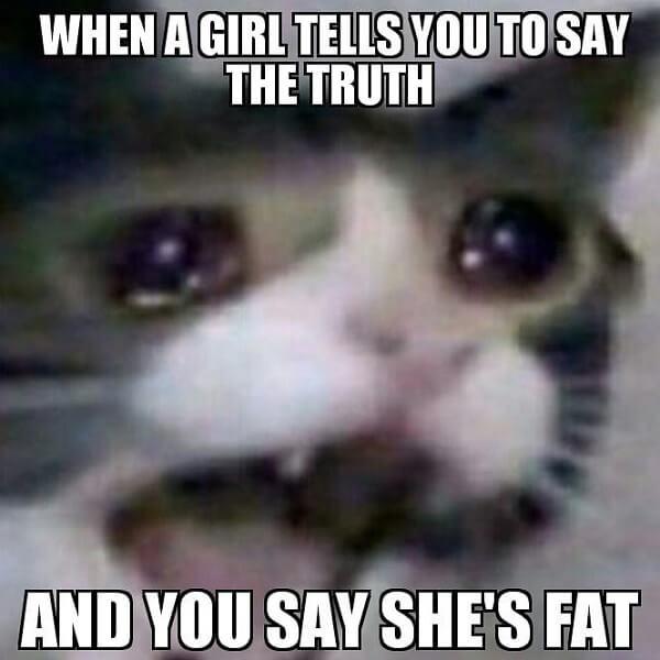 crying cat meme when a girl tells you to say the truth