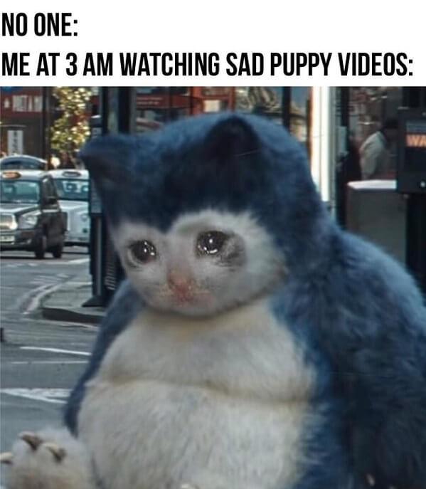 crying meme me at 3am watching sad puppy videos