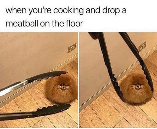 dog meme meatball