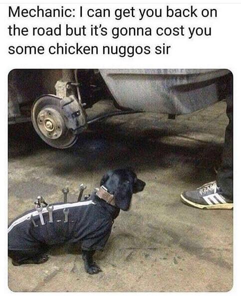 dog meme mechanic