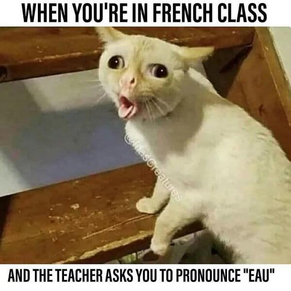 edgy memes when youre in french class