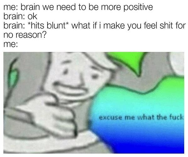 excuse me wtf meme