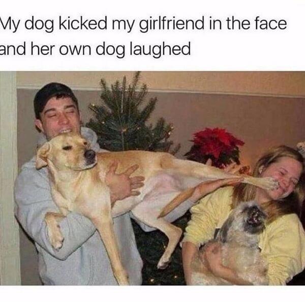 funny animal meme dog meme kick girlfriend