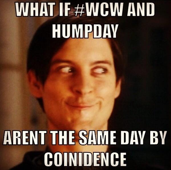 funny hump day memes what if...