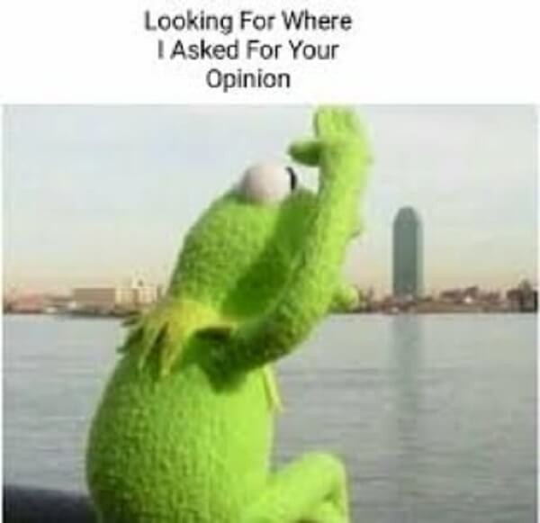funny kermit meme looking fot where i ask for your opinion