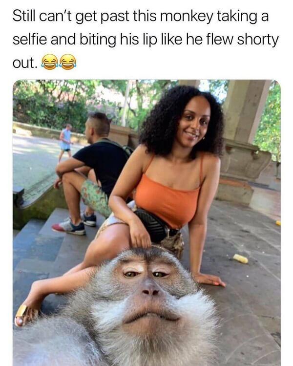 funny laughing memes still can't get past this monkey taking a selfie
