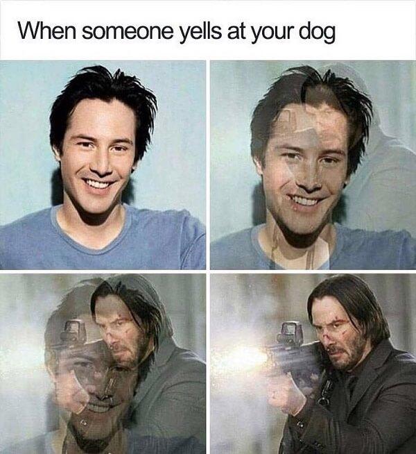 funny laughing memes when someone yell at your dog