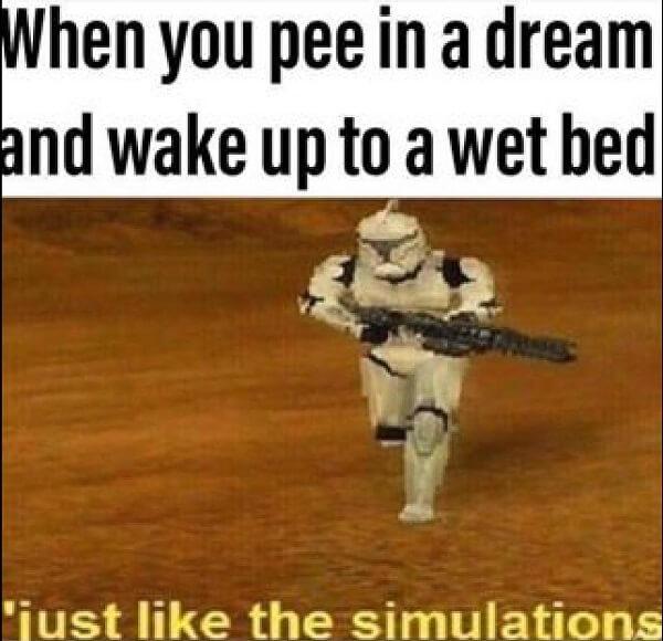 funny star wars meme pee in a dream