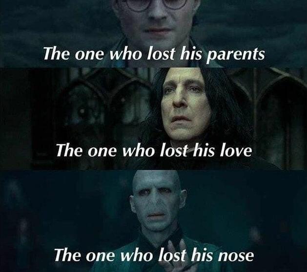 funny voldemort memes the one who lost his...