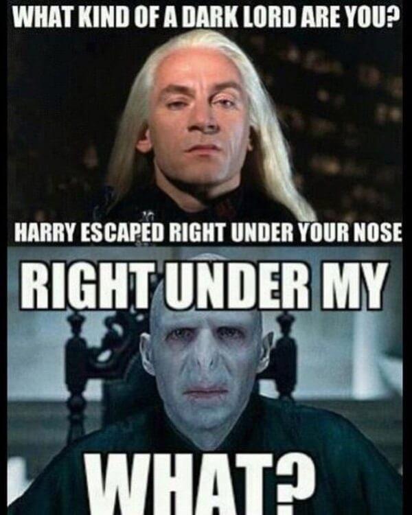 Funny Harry Potter Memes Voldemort