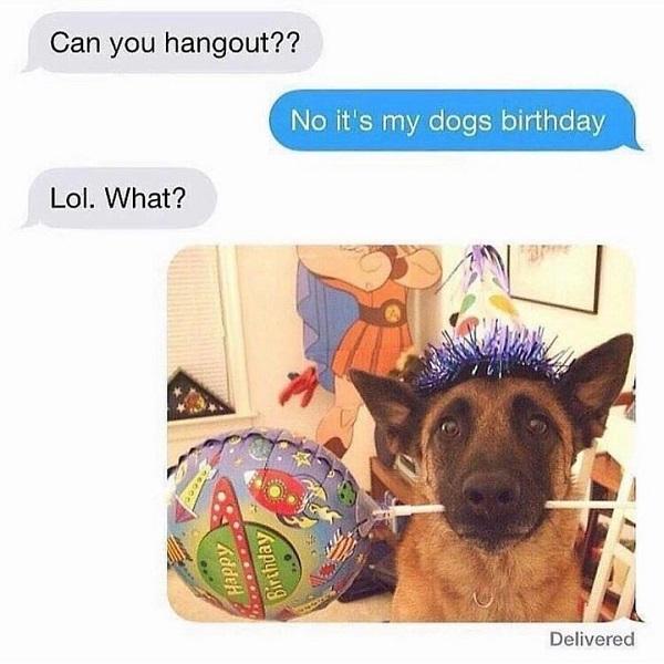 happy birthday dog meme