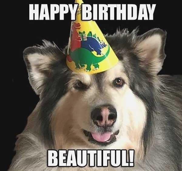 happy-birthday-dog-memes-funny