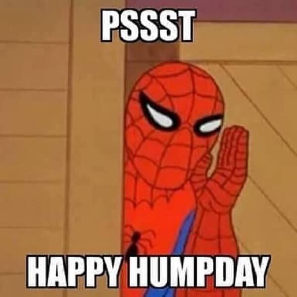 happy hump day meme