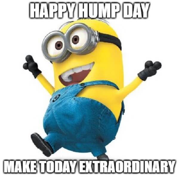 happy hump day memes minion