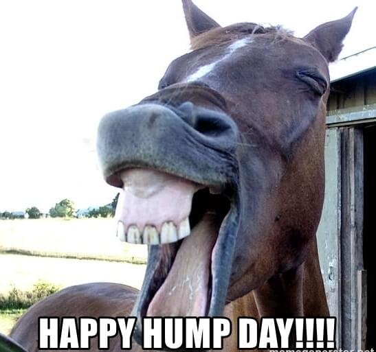 happy-hump-day