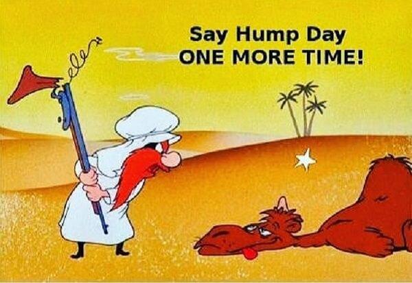 hump day camel meme say it one more time