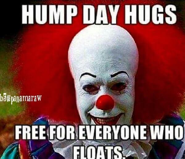 hump day meme free for everyone floats