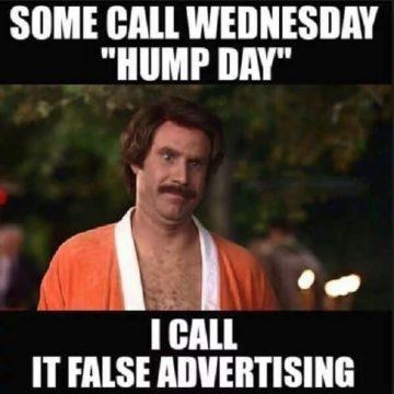 35 Funniest Hump Day Meme - Meme Central