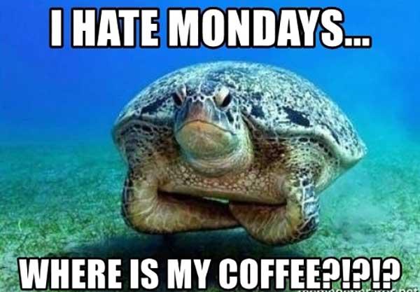 i-hate-mondays-where-is-my-coffee