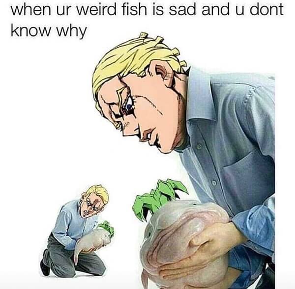 jojo memes when ur weird fish is sad