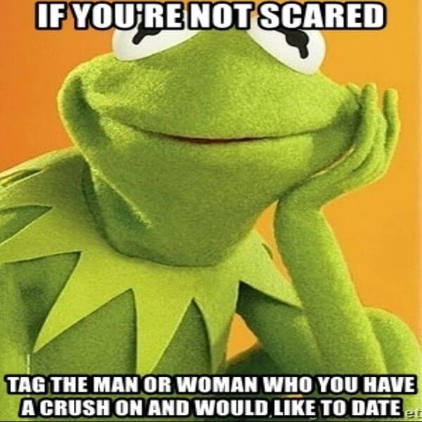 kermit meme if you are not scared