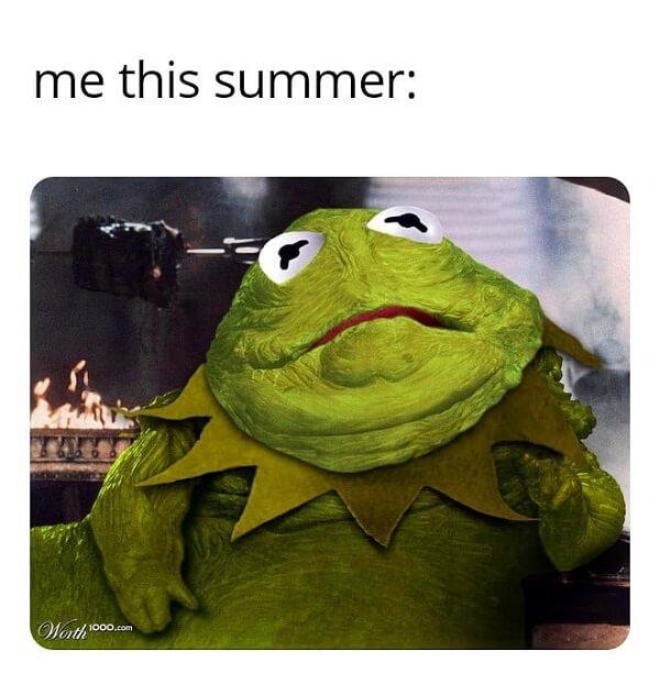 kermit meme me this summer