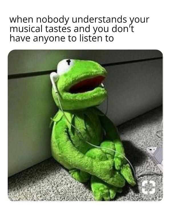 kermit meme when nobody understands your musical taste