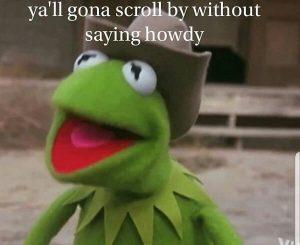 60 Funniest Kermit Memes - Meme Central