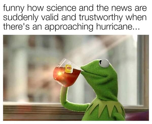 kermit the frog tea meme science and the news