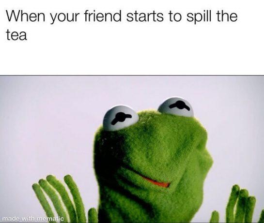 60 Funniest Kermit Memes - Meme Central