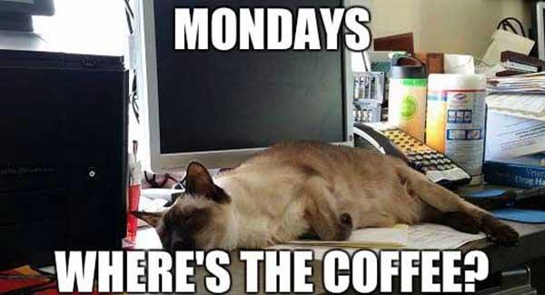 monday where is my coffee