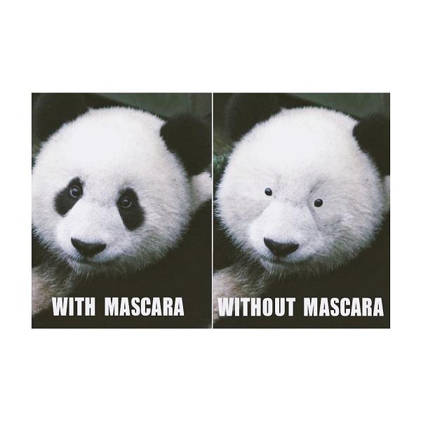 panda memes