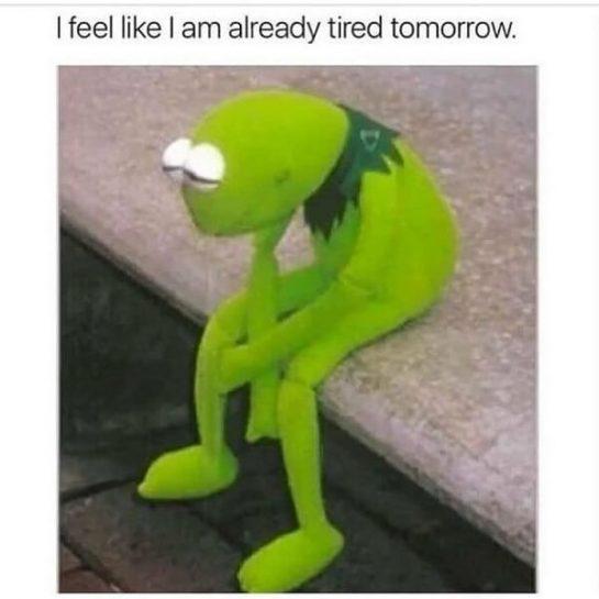 60 Funniest Kermit Memes - Meme Central