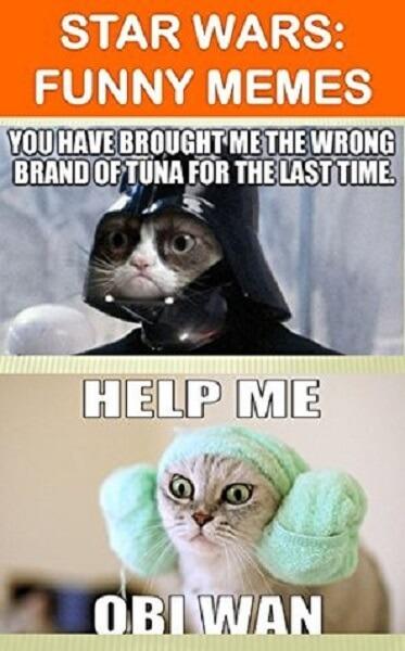 star wars memes cat