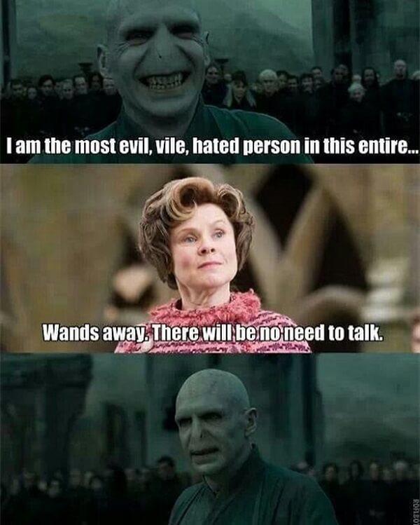 voldemort memes i am the most evil hated person in the entire world