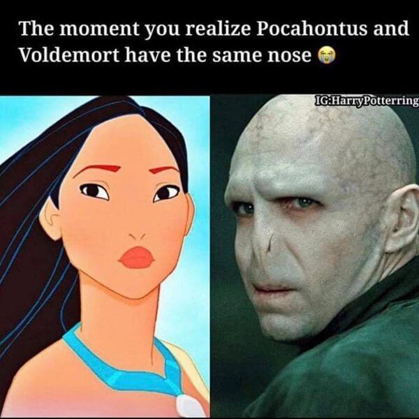 voldemort memes pocahontus and voldemort have the same nose