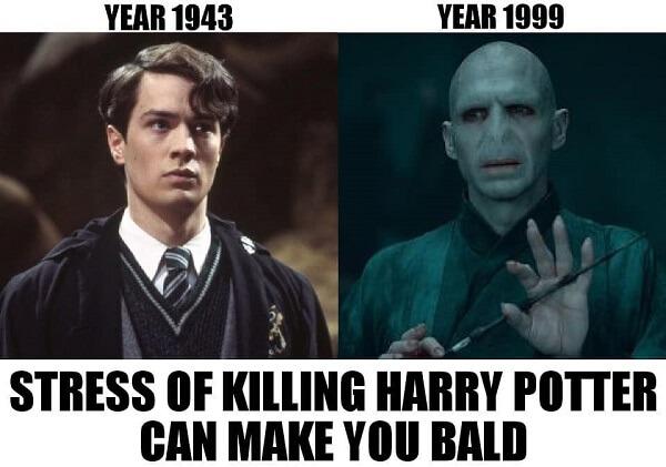 voldemort memes voldemort killing harry poter