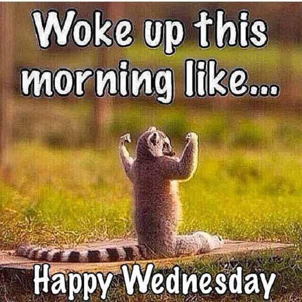 wednesday meme woke up like this