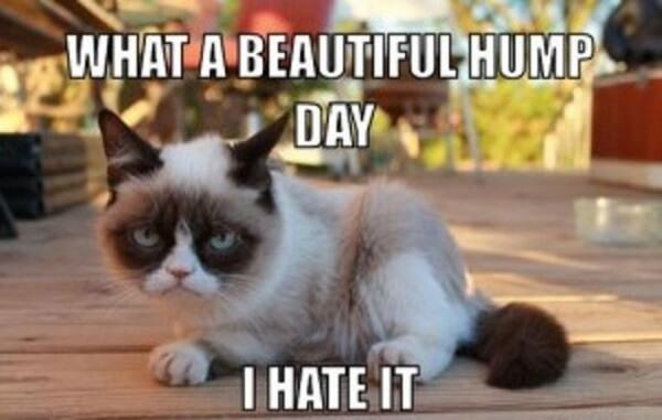 what a beautiful grumpy hump day