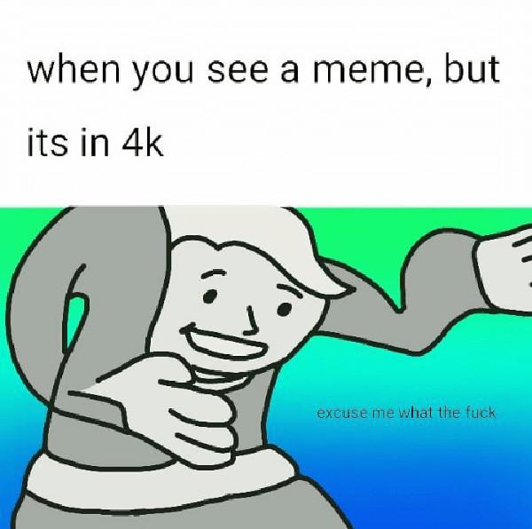 excuse me wtf meme