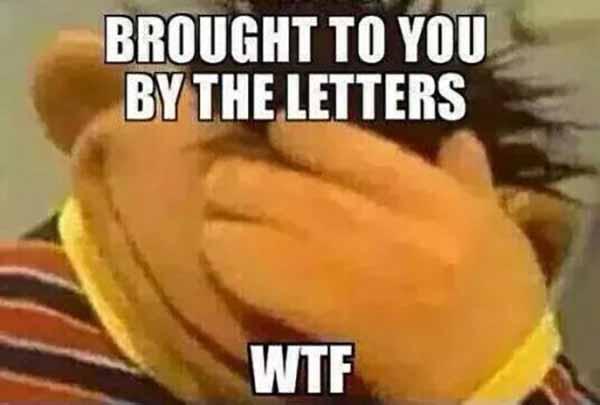wtf meme brought to you by the letter