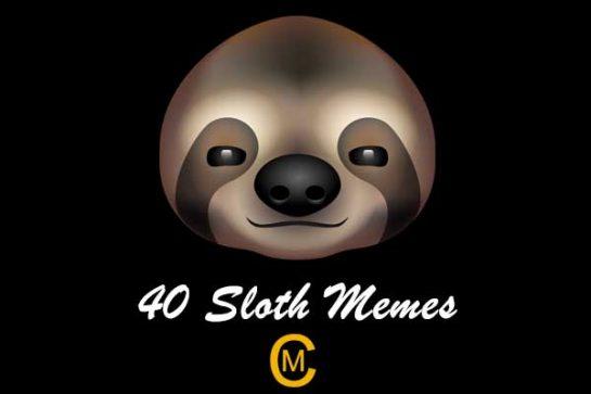40 Sloth Memes