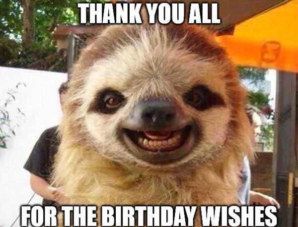 Thank-you-for-the-birthday-wishes sloth birthday meme