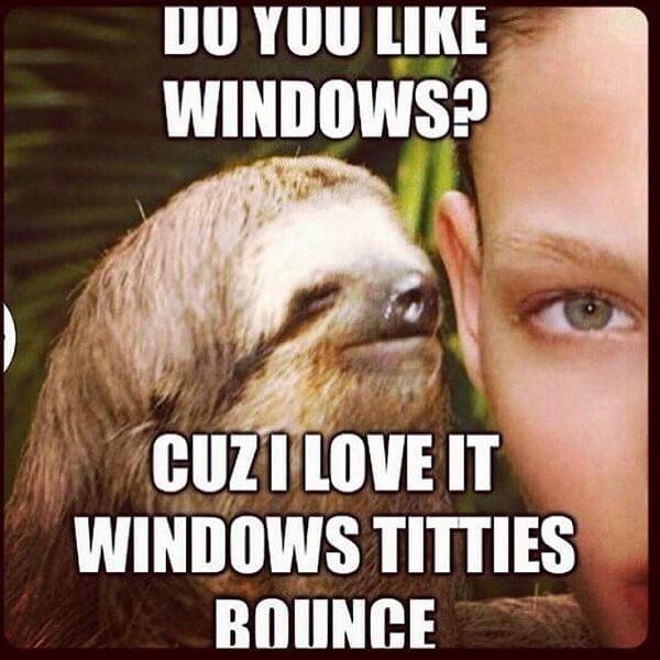 creepy sloth meme do you like windows