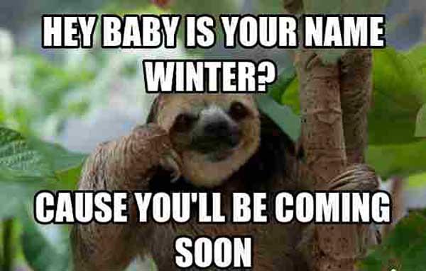 creepy sloth meme hey baby is your name winter