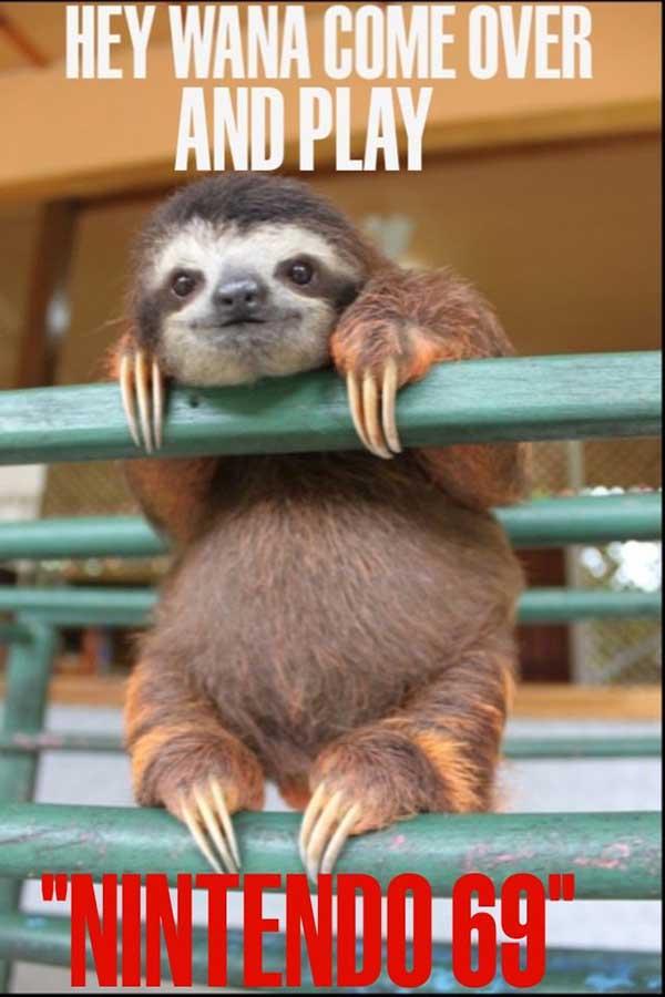 40 Best Sloth Meme Meme Central