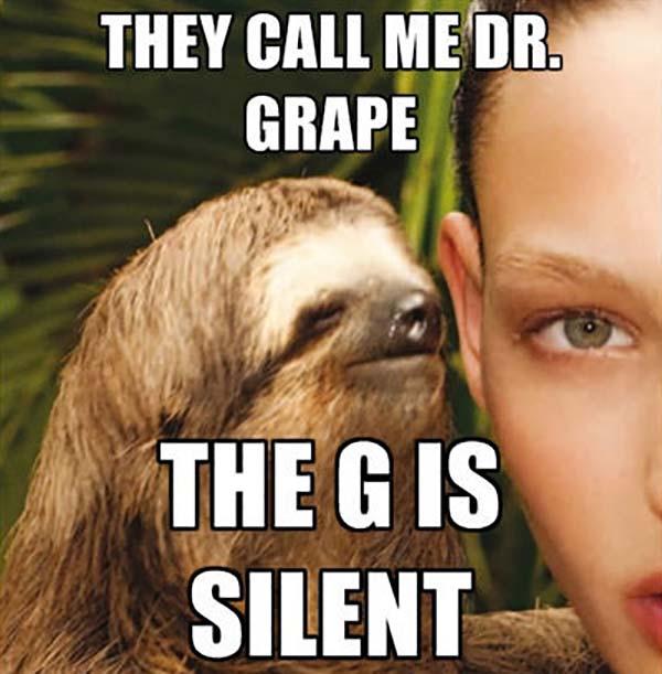 dirty sloth memes they call me mister grape