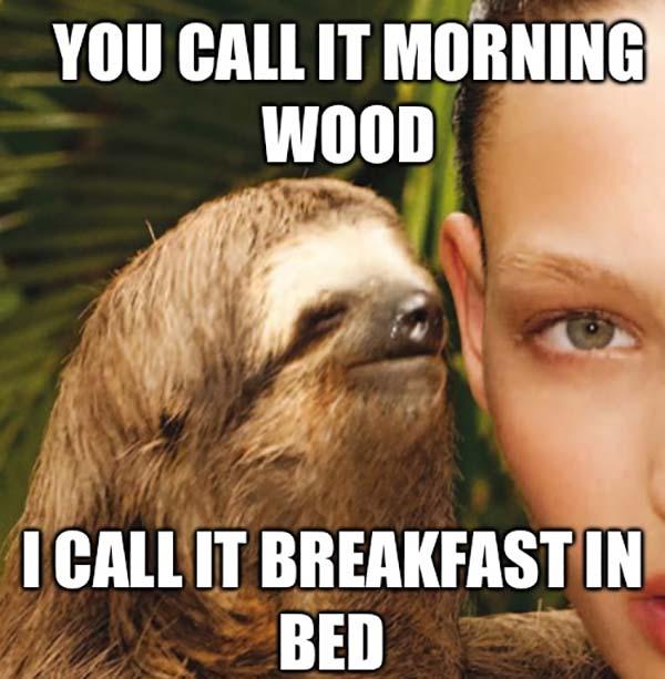 dirty sloth memes