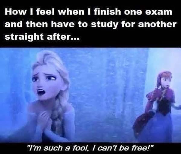 frozen memes how i feel when i finish one exam