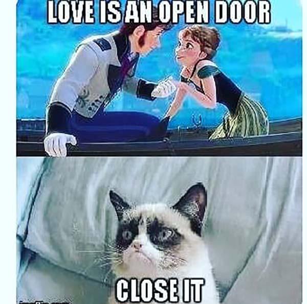frozen memes love is an open door...